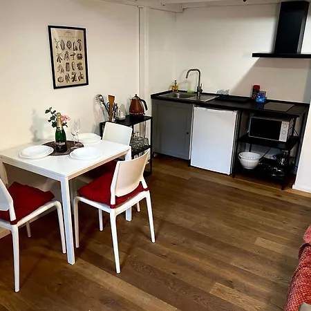 Opletalova 1min From Wenceslas Square * Praag